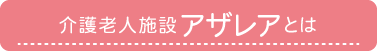 介護老人施設アザレアとは